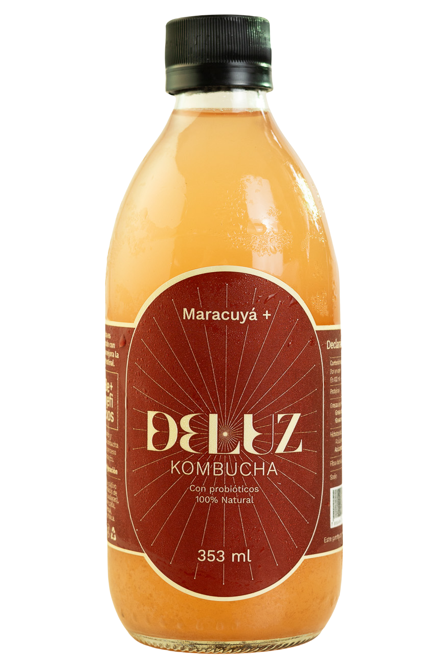 Kombucha Maracuyá+353ml