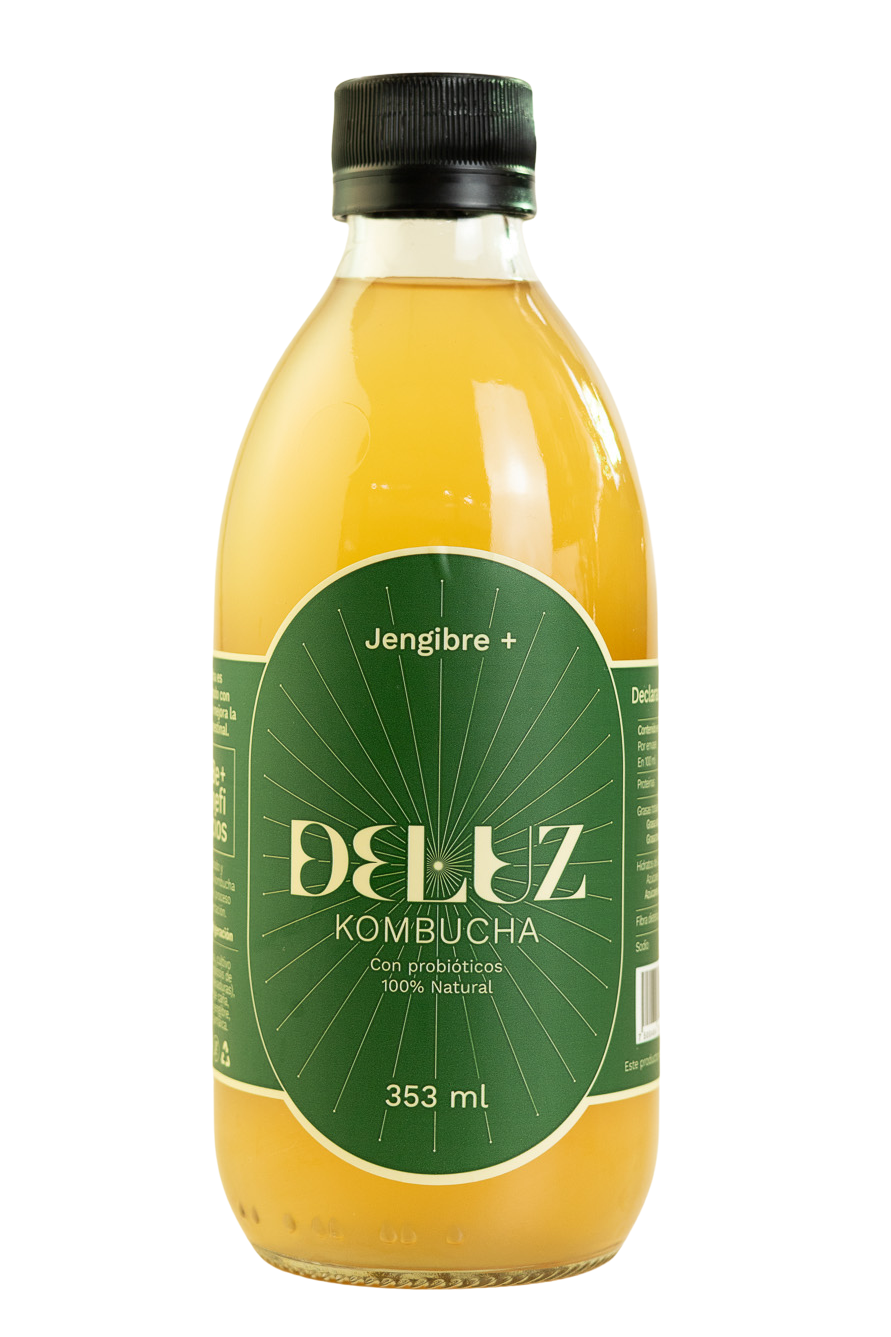 Kombucha Jengibre+ 353ml