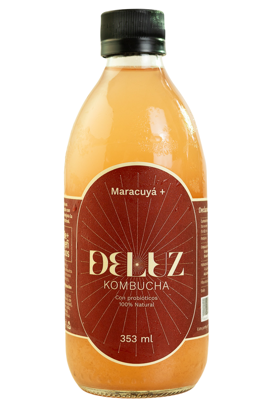 Kombucha Maracuyá+353ml