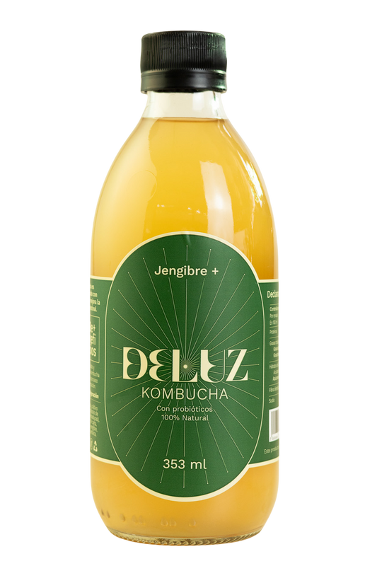 Kombucha Jengibre+ 353ml