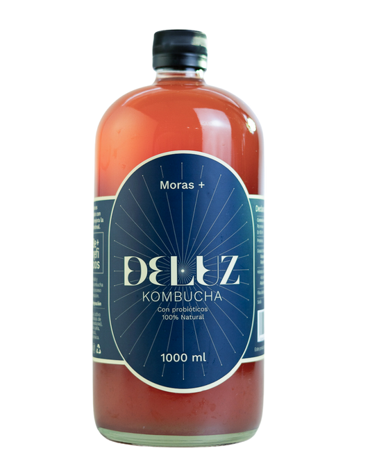 Kombucha Moras+1000ml