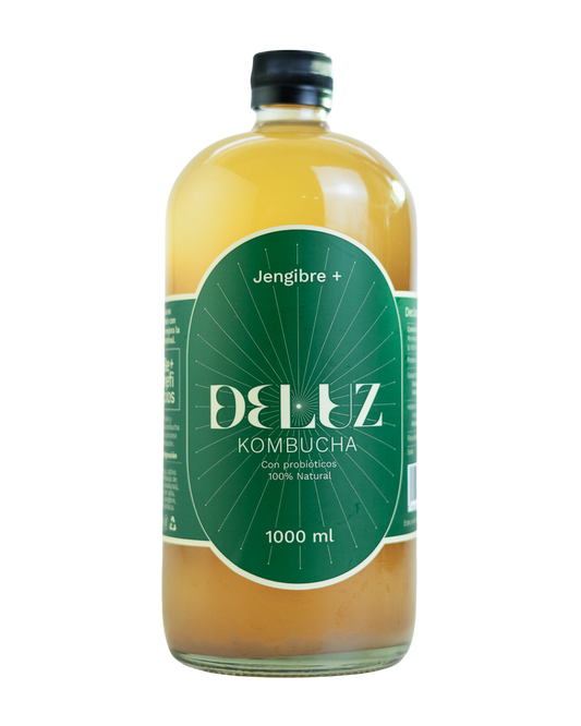Kombucha Jengibre+ 1000ml