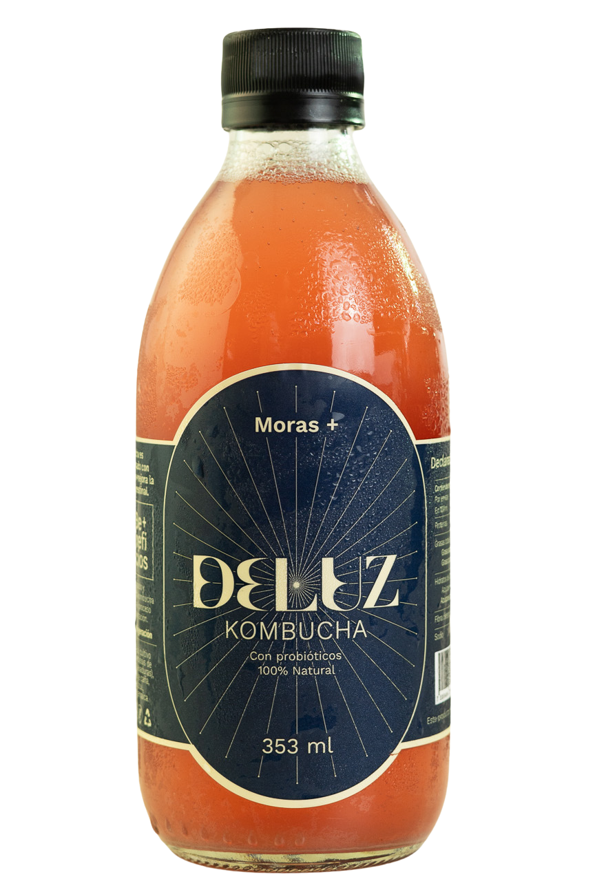 Kombucha Moras+353ml