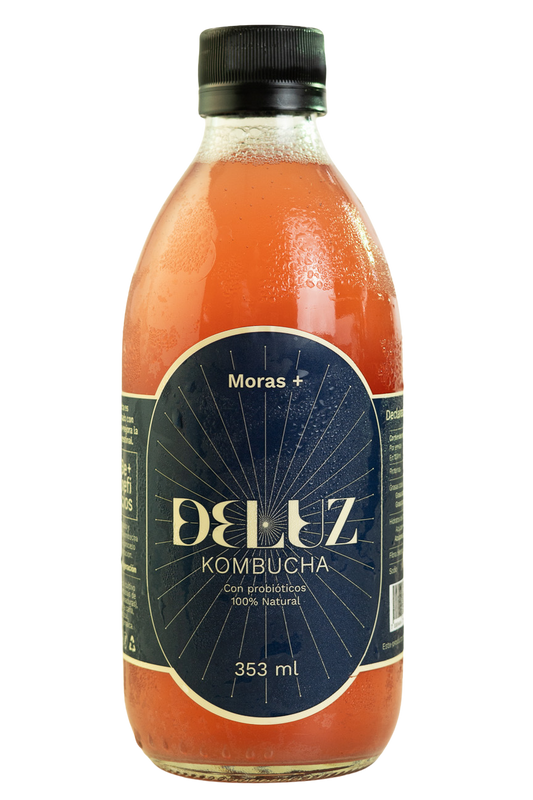 Kombucha Moras+353ml