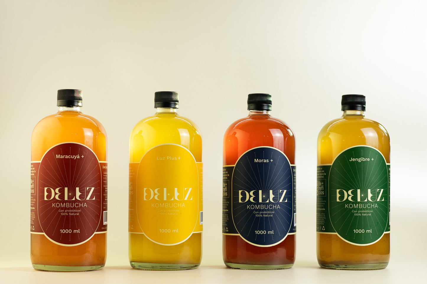 6 PACK KOMBUCHAS 1000ml