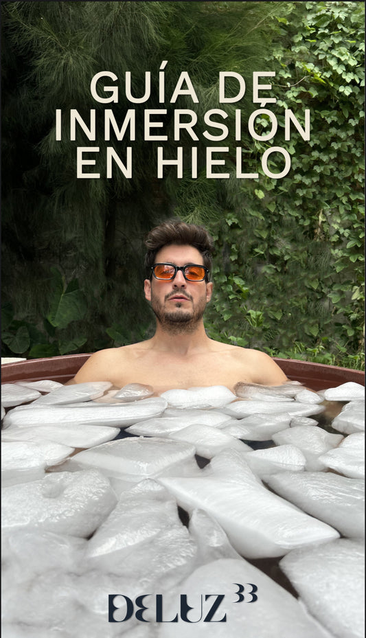 GUIA DE INMERSIÓN EN HIELO