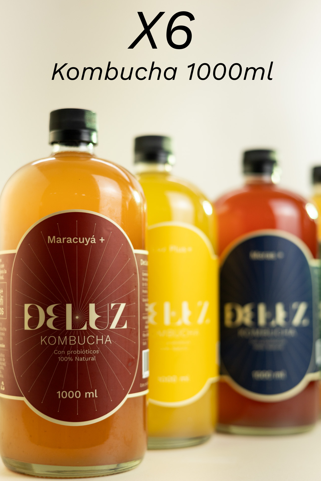 X6 Kombucha Deluz 1000ml